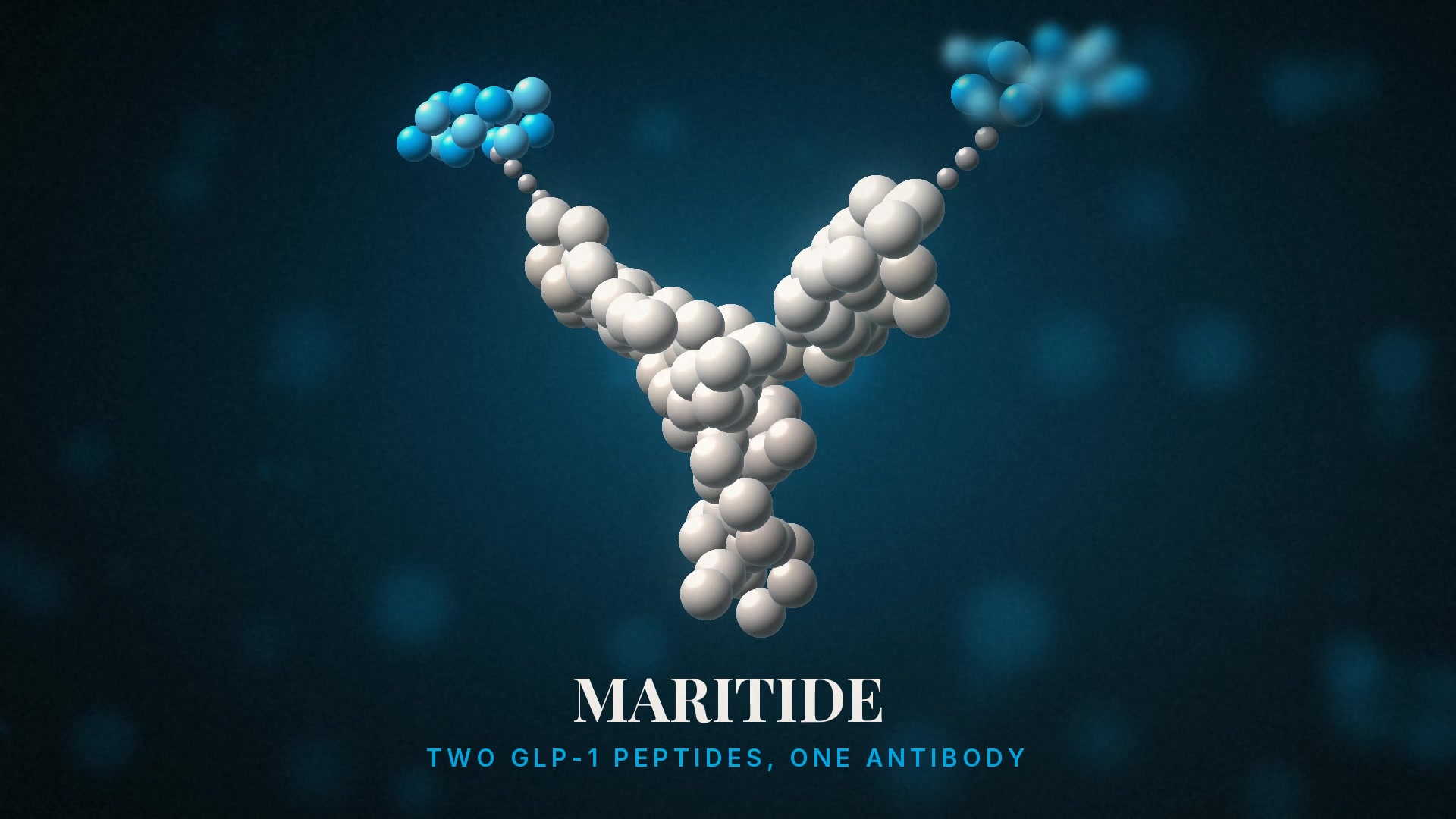 Explainer: two GLP-1 peptides on a GIP receptor antagonist antibody